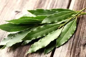 Aceite Esenciales Eucaliptos Garc&iacute;a Palomo Barcelona