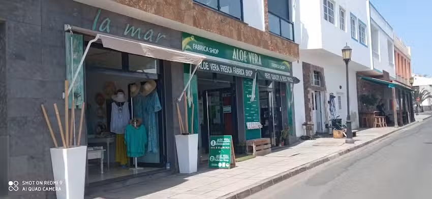 Aloe Vera Fresca