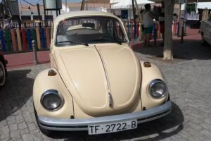 Aloe Vera Internacional S A