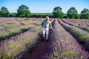 Aloe Vera Las Coronas