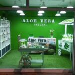 Aloe Vera Malaga