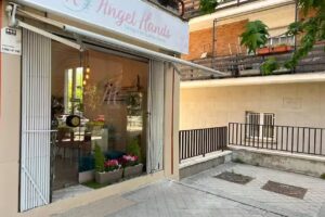 Angel Hands: manicura y pedicura OPI