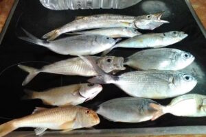 Antonia Mar&iacute;a Vargas Ramos