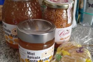 Apicola Costa del Azahar