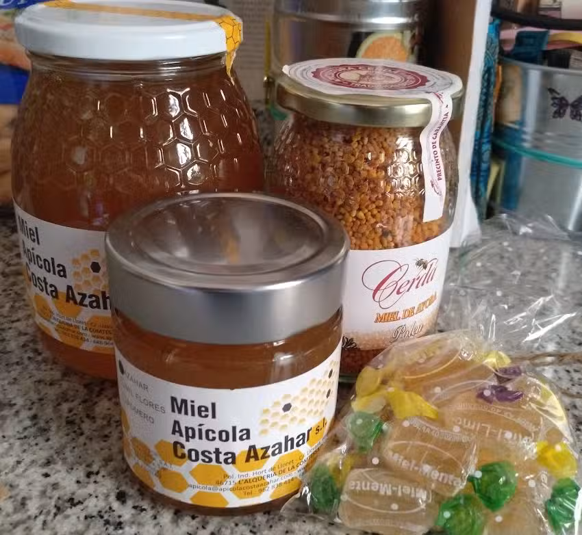 Apicola Costa del Azahar