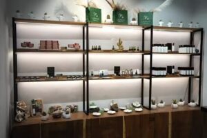 CACTUS MUSEUM SHOP LANZAROTE