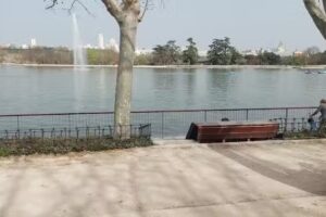 Cecilia Corral Zamora