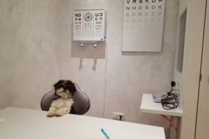 CENTRO DE ESPECIALIDADES CEMECON