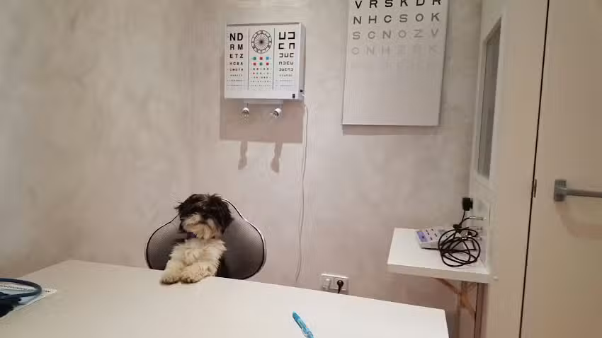 CENTRO DE ESPECIALIDADES CEMECON