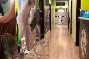 Centro de est&eacute;tica Azahara Horrillo