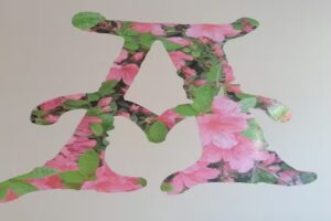 Centro de estetica Azaleas