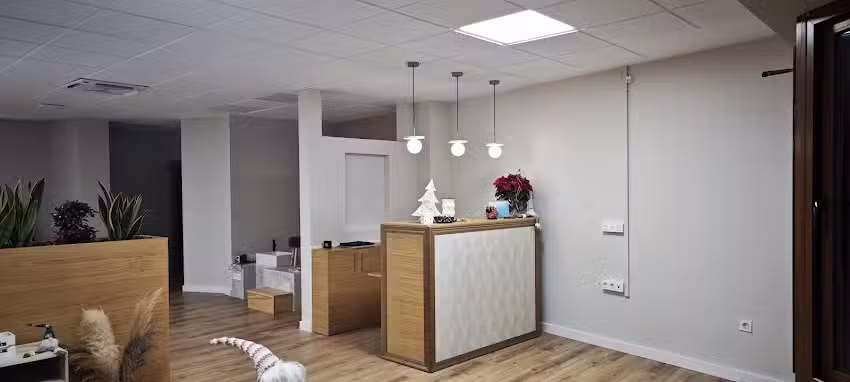 Centro de est&eacute;tica VEGA