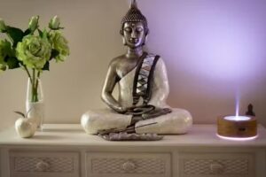 Centro m&eacute;dico est&eacute;tico aranzazu