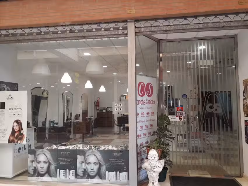 Concha Santos Peluquer&iacute;a Y Est&eacute;tica Estilista