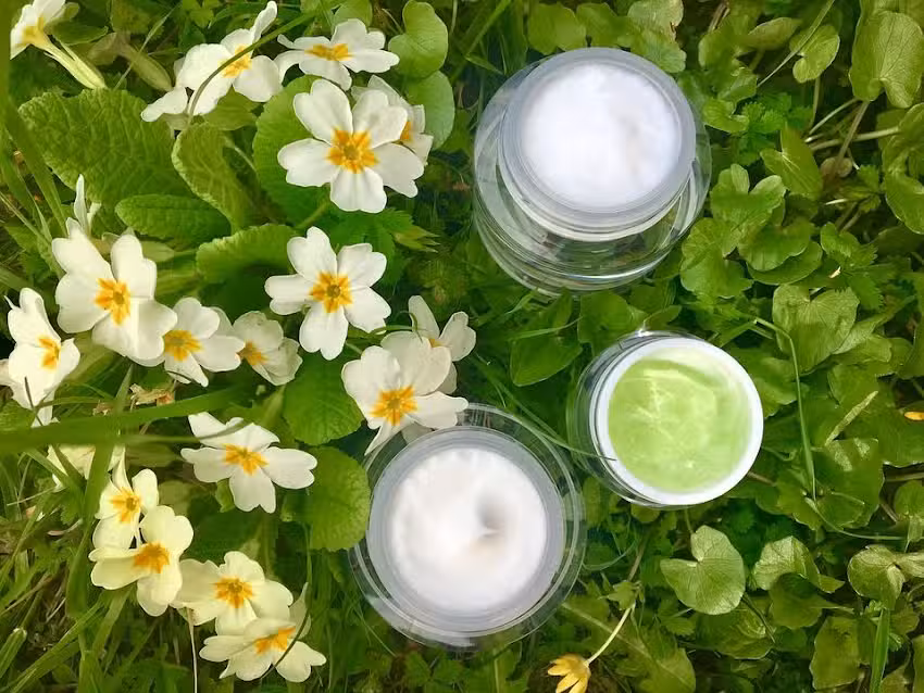 COSMETICA DE LA NATUREZA