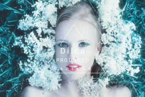 Dilca. Productos de peluquer&iacute;a en C&oacute;rdoba