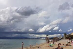 Distribuidor IT WORKS