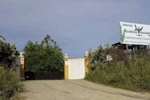 Esencias Garc&iacute;a Palomo