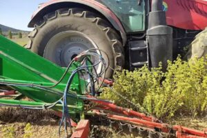 Esencias Gonz&aacute;lez.