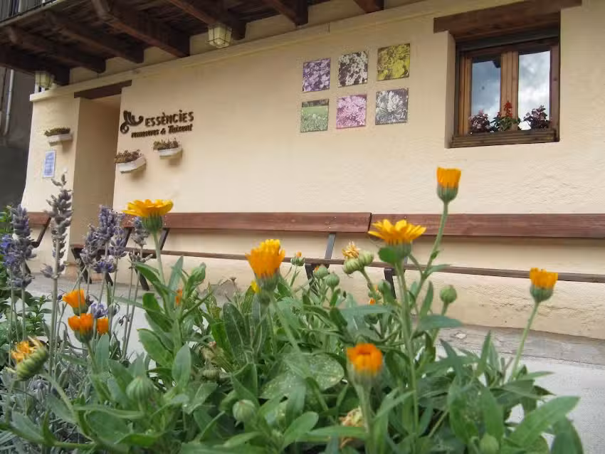 Ess&egrave;ncies de Tuixent