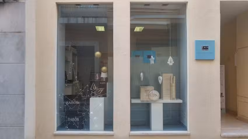 Est&eacute;tica I Salut Xaro Sastre
