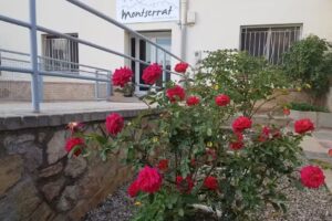 Est&egrave;tica Montserrat