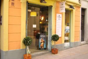 Est&egrave;tica Sarri&agrave;