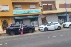 Eurodamas Aromas S L