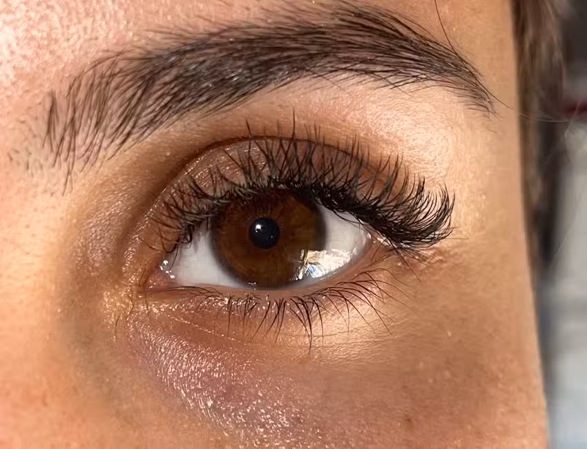 Extensiones de pesta&ntilde;as Pelo a pelo Lash Makers Art