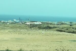 Finca Canarias Aloe Vera Gran Tarajal