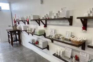 Finca Canarias Aloe Vera La Oliva