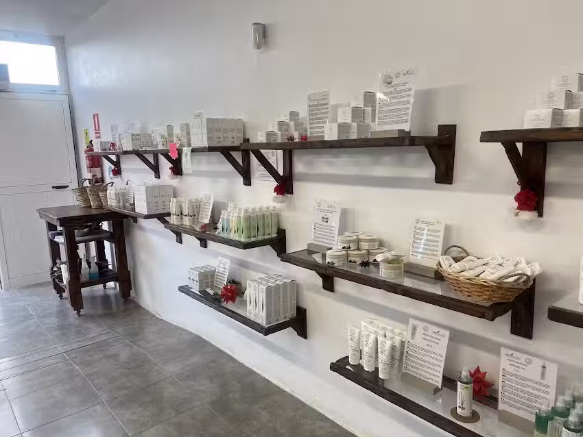 Finca Canarias Aloe Vera La Oliva