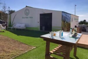 Finca Canarias Aloe Vera San Agust&iacute;n