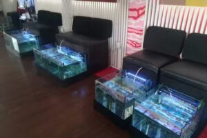 Fish Spa Fuerteventura