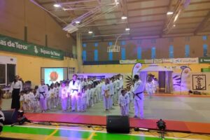 Gimnasio Arashi Escuela de Artes Marciales