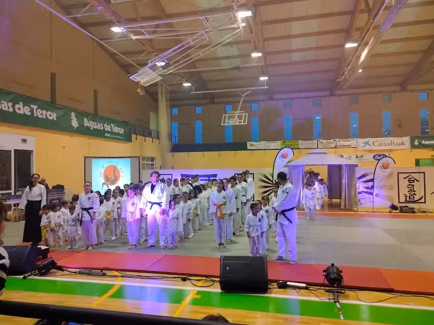 Gimnasio Arashi Escuela de Artes Marciales