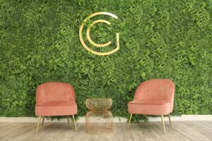 Goya Corporal: Centro de Medicina Est&eacute;tica