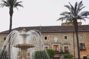 Hedonai M&eacute;rida &ndash; Depilaci&oacute;n L&aacute;ser &ndash; Cirug&iacute;a y Medicina Est&eacute;tica