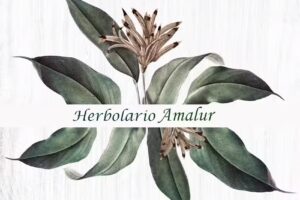Herbolario Amalur