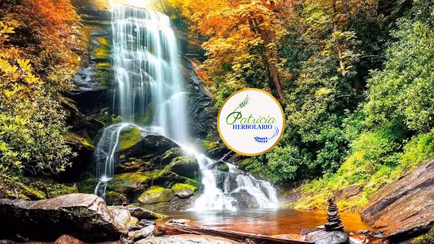Herbolario Patricia