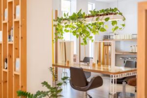 Ixent &ndash; Perruqueria