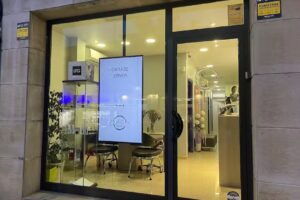 L&rsquo;est&egrave;tika Al&iacute;cia Pla