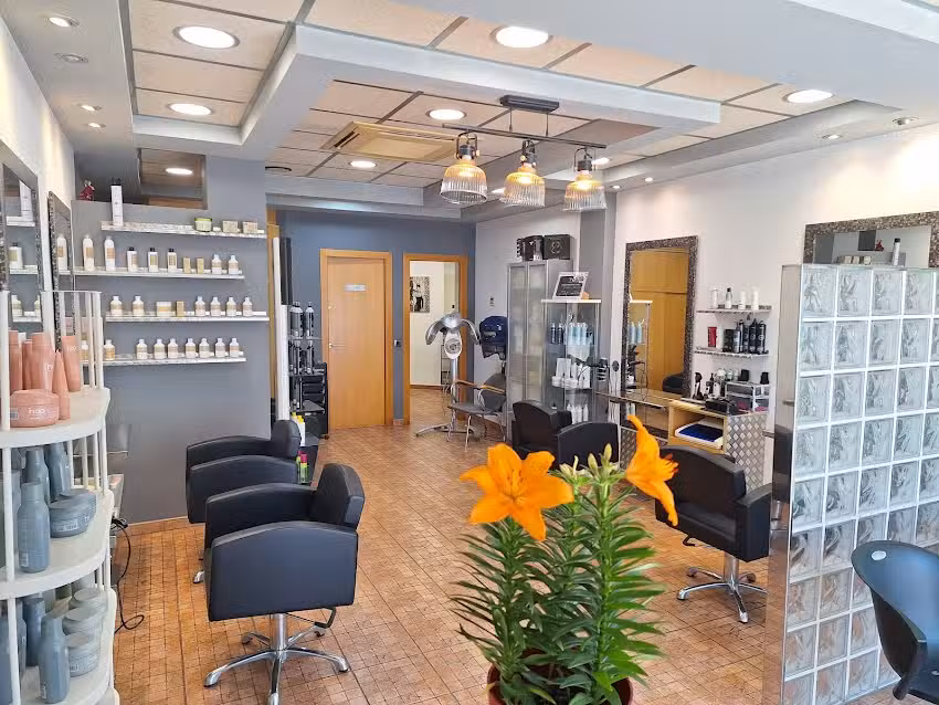 La Perruqueria -centre capil.lar-