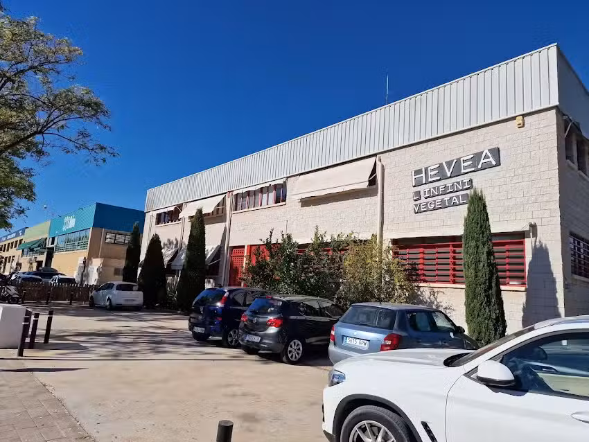 Laboratoire Hevea S L