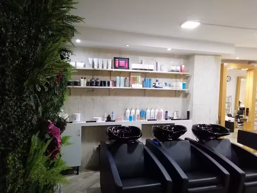 LD (Luc&iacute;a Delgadillo) Peluquer&iacute;a
