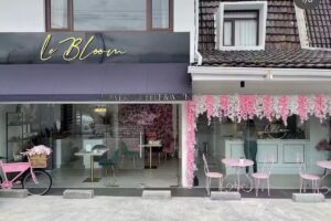 Le Bloom