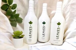 Leaves Therapy Spain