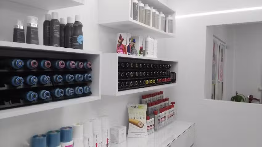 Lola S&aacute;ez peluquer&iacute;a & est&eacute;tica