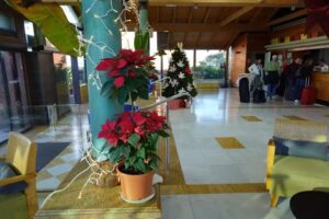 Mara Estética Lab&Academy