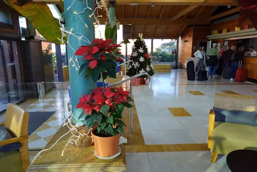 Mara Est&eacute;tica Lab&Academy